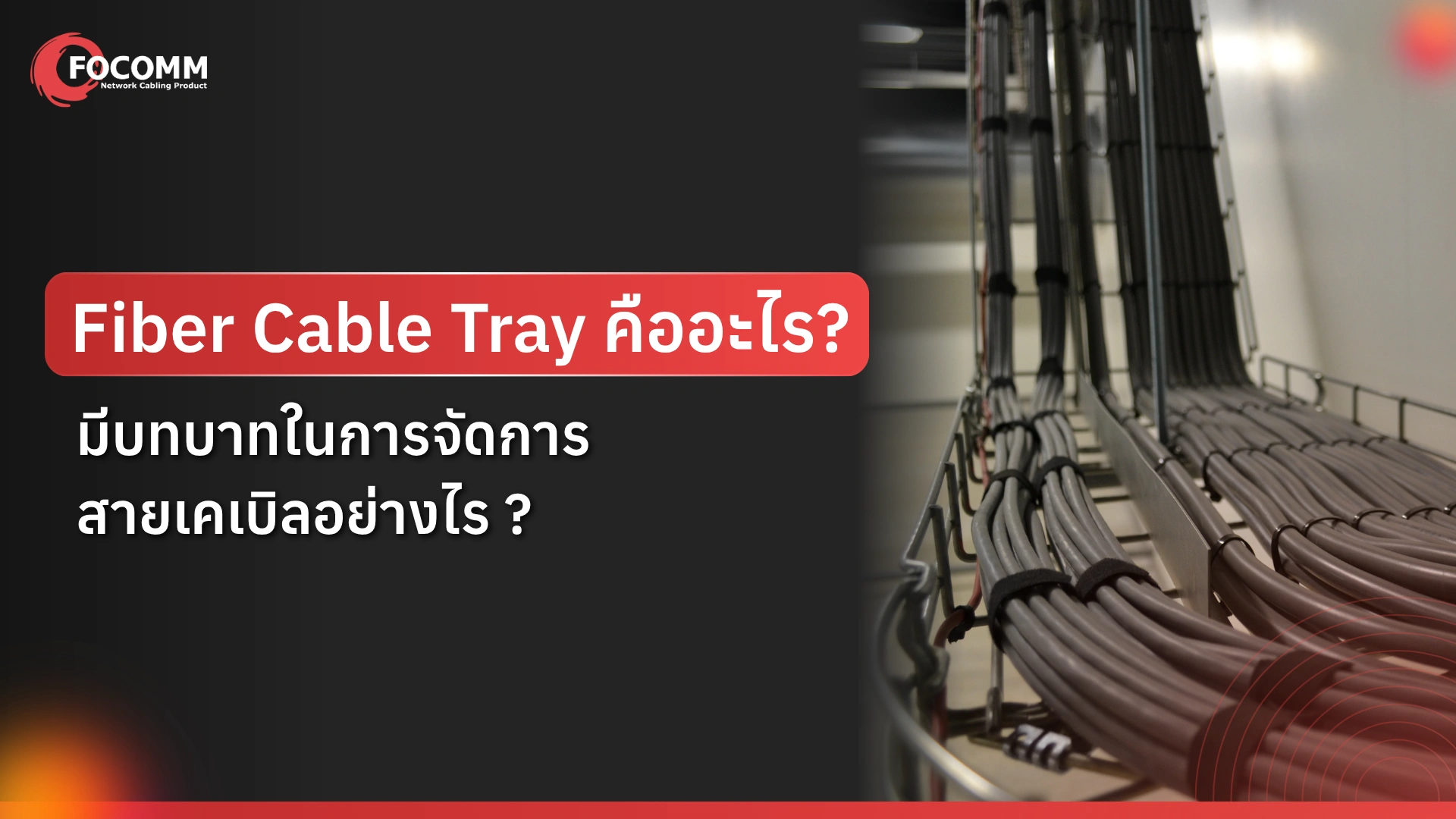 Fiber Cable Tray คืออะไร มีบทบาทในการจัดการสายเคเบิลอย่างไร