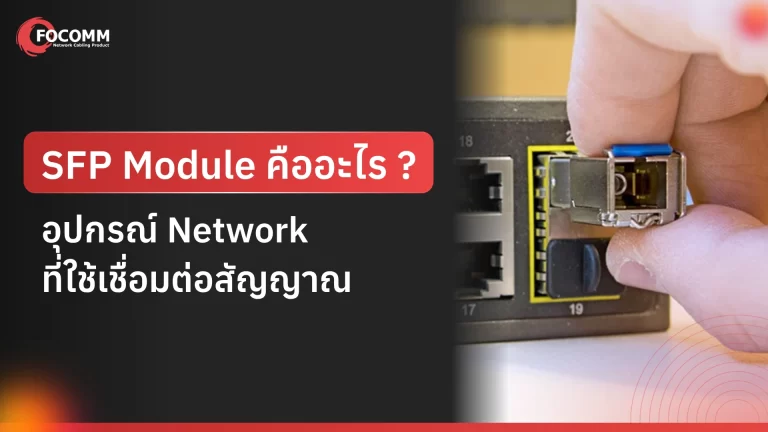 SFP Module คืออะไร อุปกรณ์ network ที่ใช้เชื่อมต่อสัญญาณ