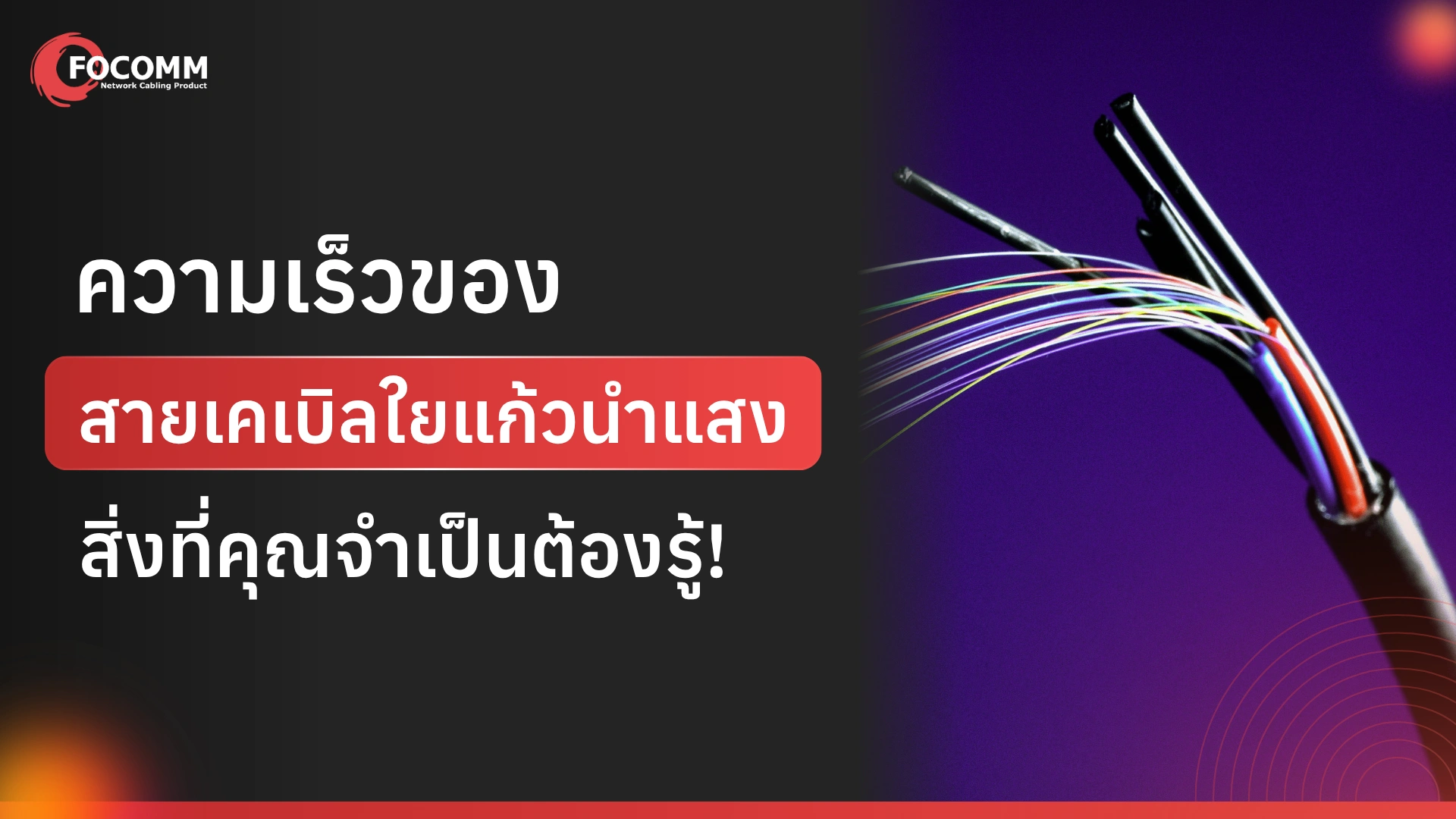 ความเร็วของสายเคเบิลใยแก้วนำแสง: สิ่งที่คุณจำเป็นต้องรู้!